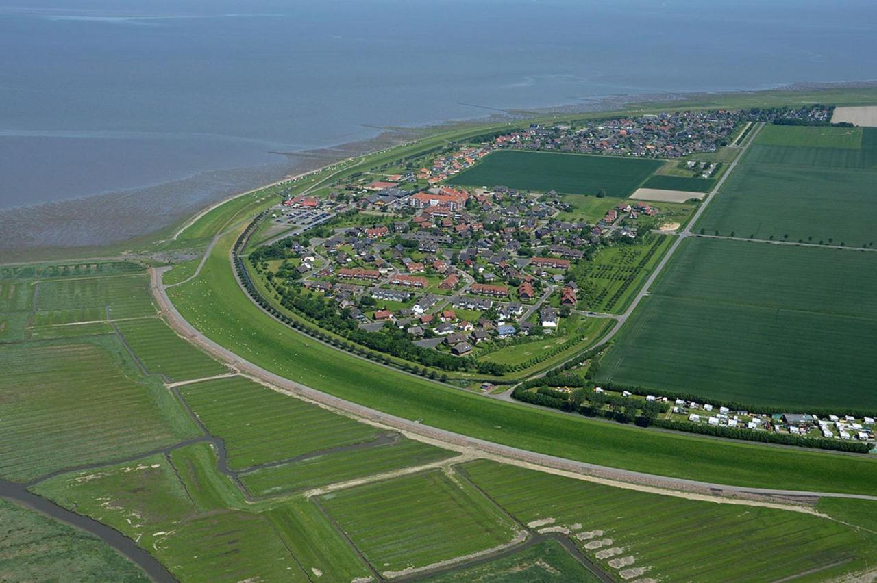 Deichwohnung Strandweg 7 Friedrichskoog-Spitz Dış mekan fotoğraf
