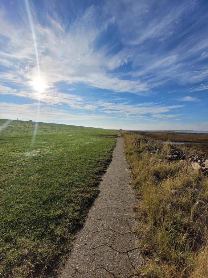 Deichwohnung Strandweg 7 Friedrichskoog-Spitz Dış mekan fotoğraf